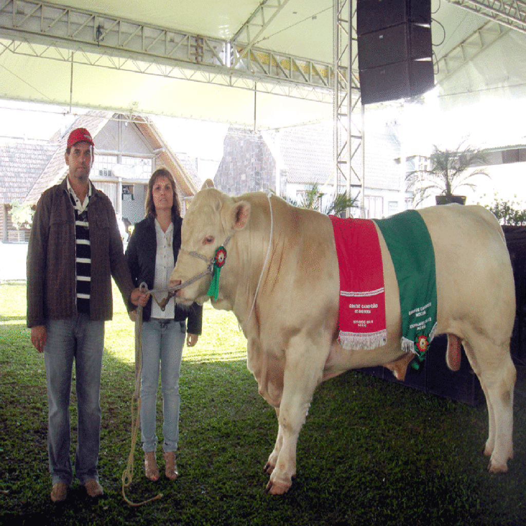 Cabanha Raio de Sol de Campos Novos é destaque na Feria de Eventos de Capinzal
