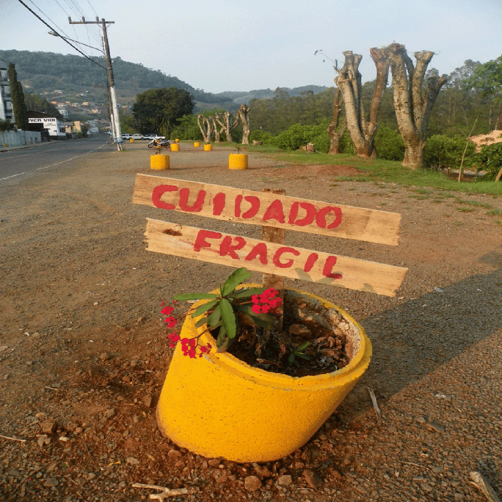 Foto Fofoca