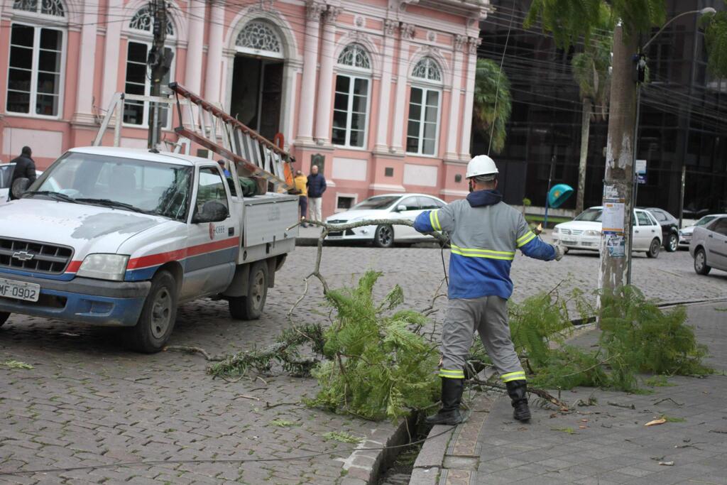 Ventania causa transtornos em Pelotas e região