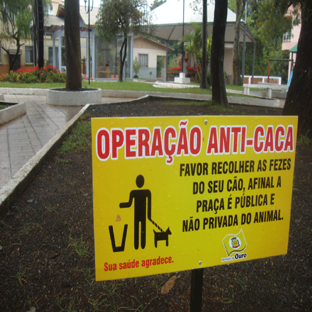 Foto Fofoca