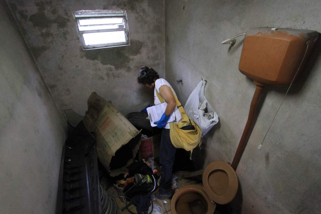 Força-tarefa irá atacar focos de Aedes nesta sexta