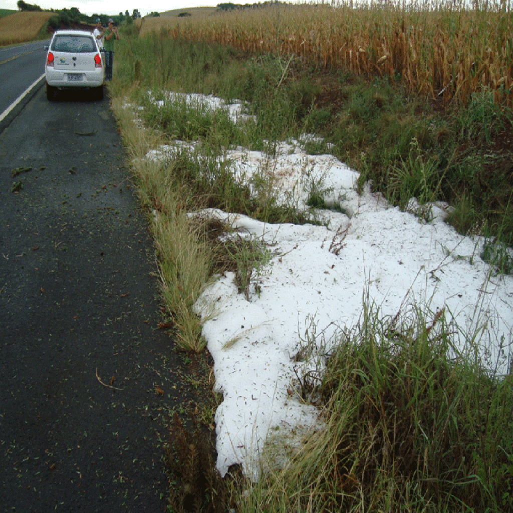 GRANIZO ATINGE LAVOURAS DA REGIÃO DE CAMPOS NOVOS