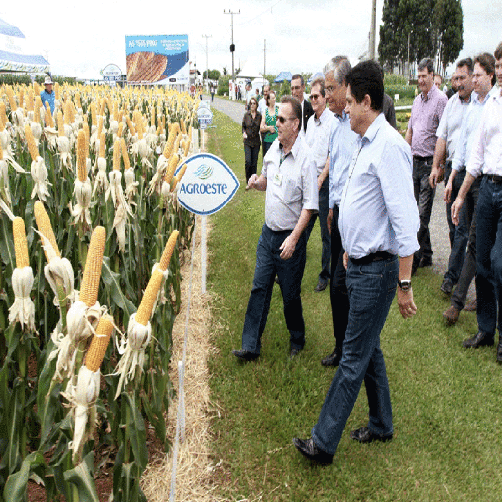 DIA DE CAMPO COM DEMONSTRAÇÃO DE TECNOLOGIA E VALORIZAÇÃO DO AGRICULTOR