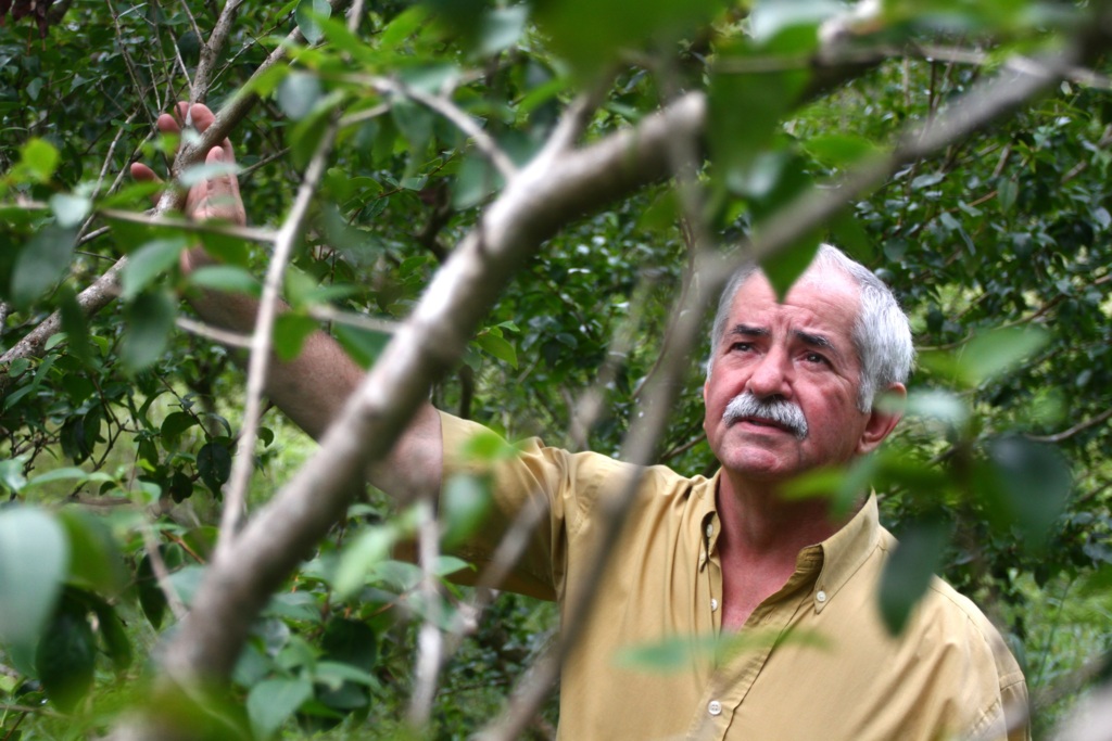 Jerônimo Gonzalez - 
