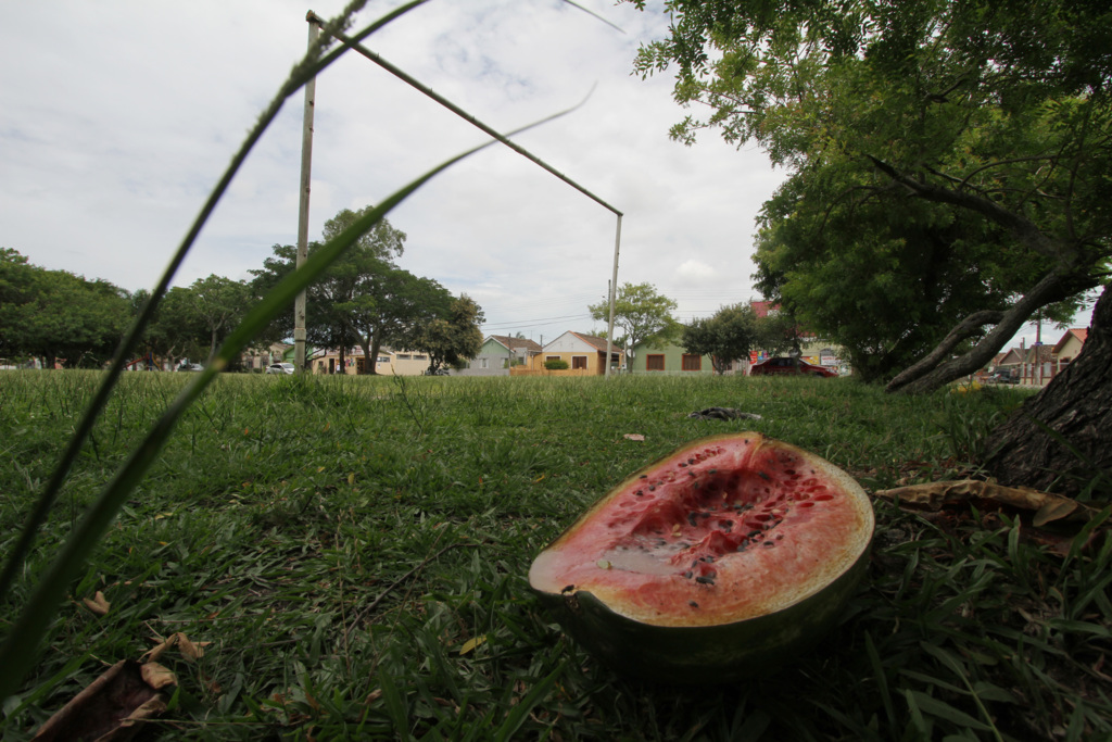 Praça na Cohab Tablada está há um ano sem cuidados