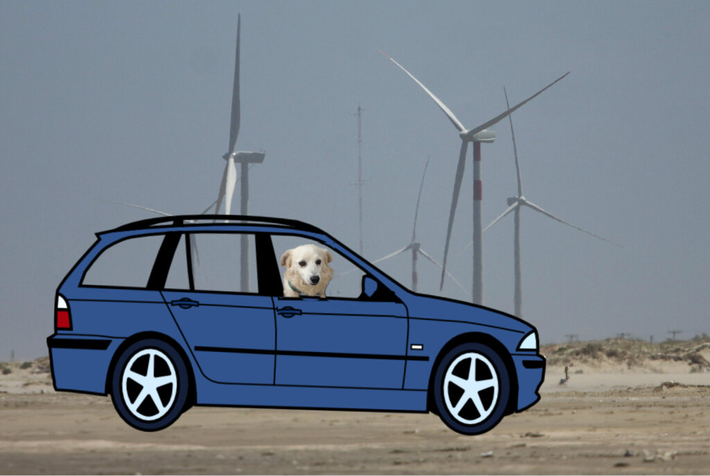 Como levar pets no carro?