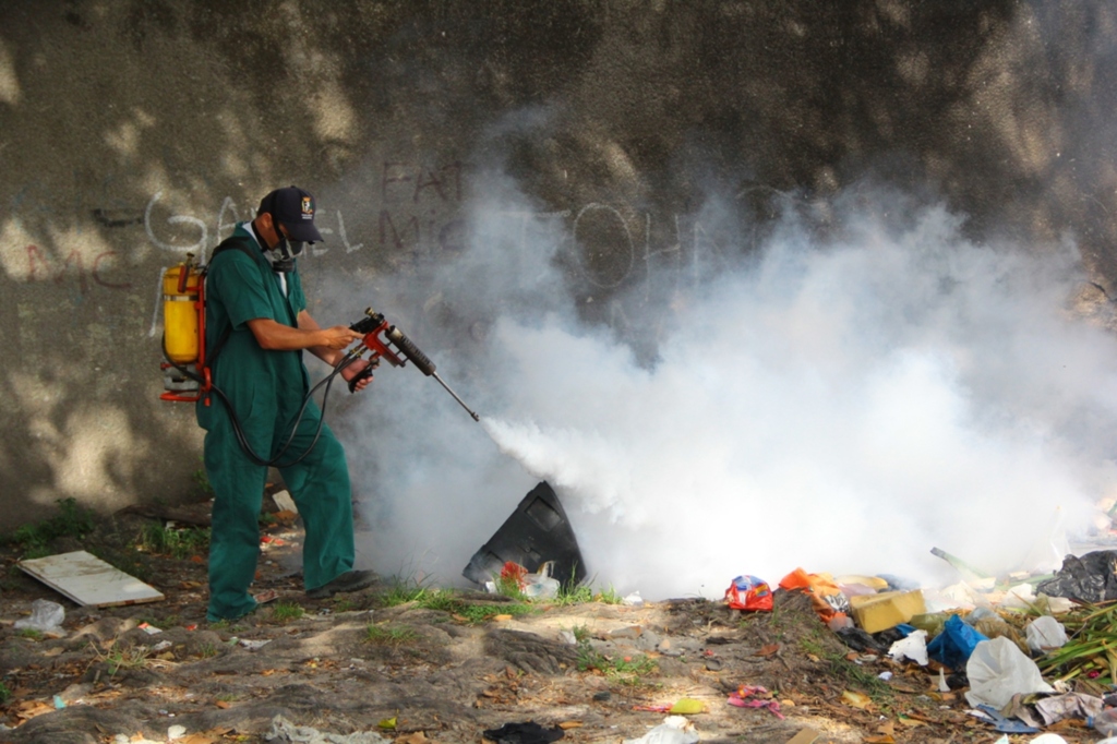 Força-tarefa contra o Aedes aegypti será nesta segunda