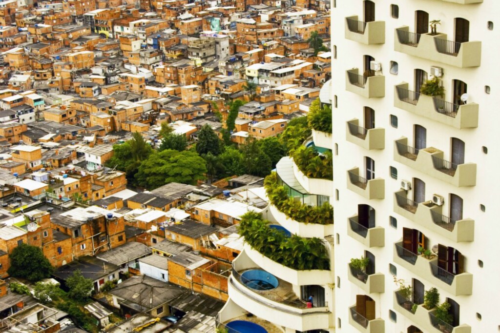 Divulgação - 