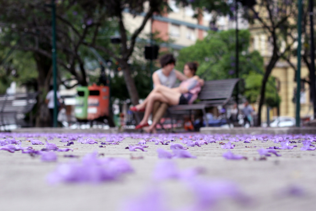 Jô Folha - 