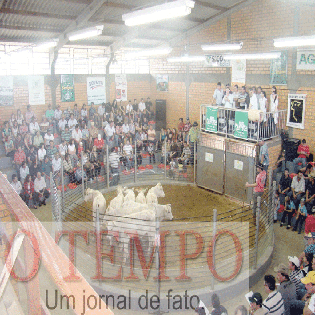 EXPOVALE CAPINZAL 2011