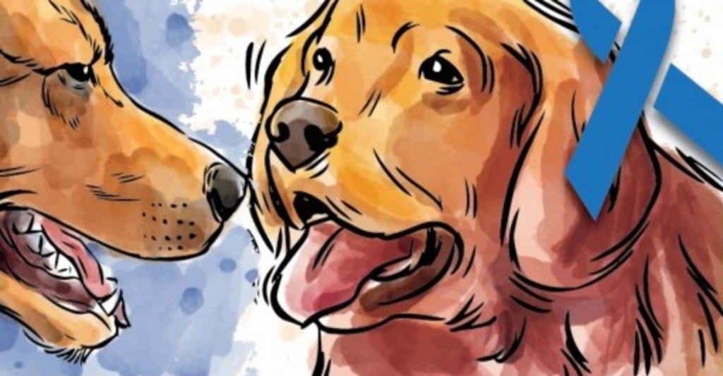 Animais também precisam se prevenir do câncer de próstata