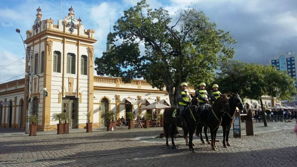 Divulgação - 