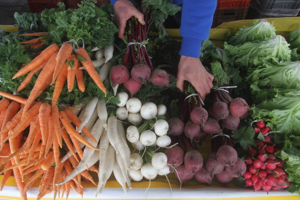 Alimentação saudável e exercícios ajudam a combater câncer de mama, diz SBM