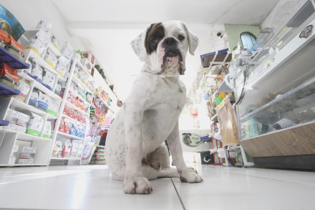 Jô Folha - 