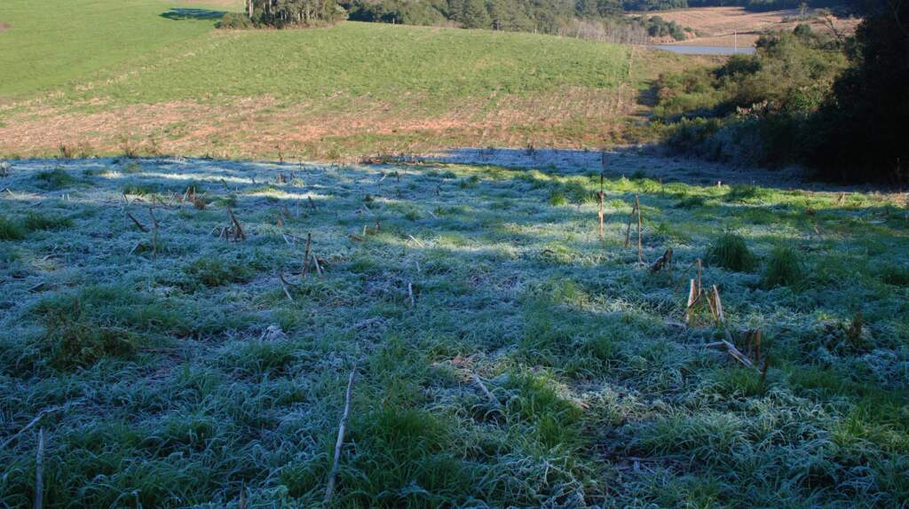 Fim do inverno e primavera terão pouca chuva e temperaturas baixas