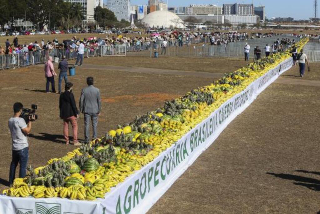 Brasil conquista lugar no Guinness Book com maior mesa de frutas do mundo