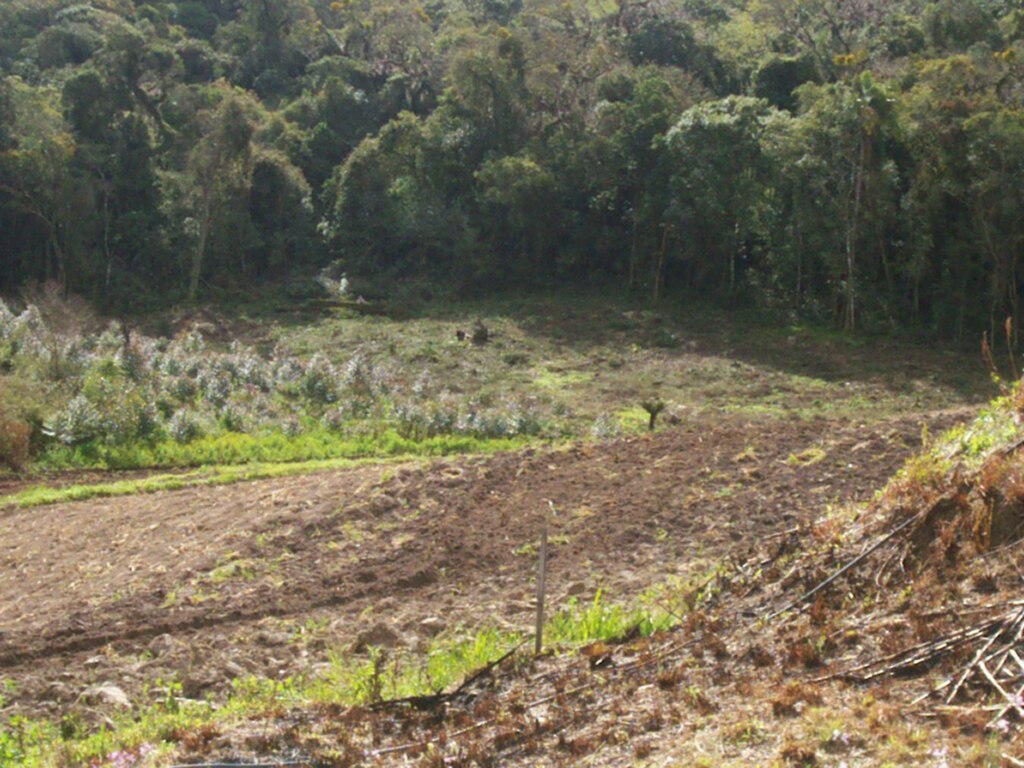 Período para declarar imposto sobre propriedade territorial rural se aproxima