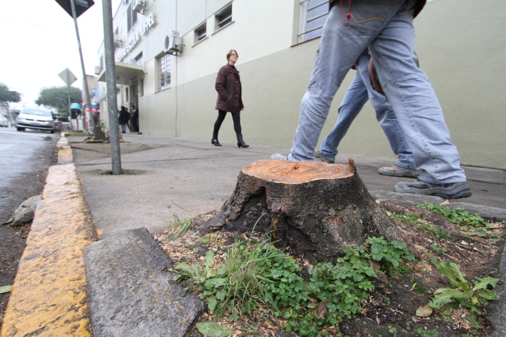 SQA corta árvores localizadas na calçada do Hospital-Escola da UFPel