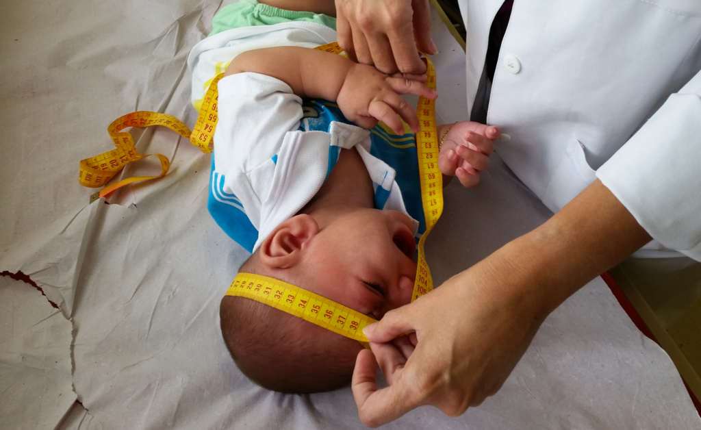 Um novo olhar sobre os efeitos do zika