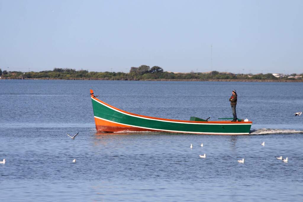 Decisão do TRF mantém pesca proibida no Estado