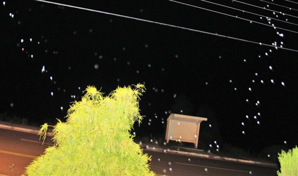 Neve em pleno outono em Santa Catarina