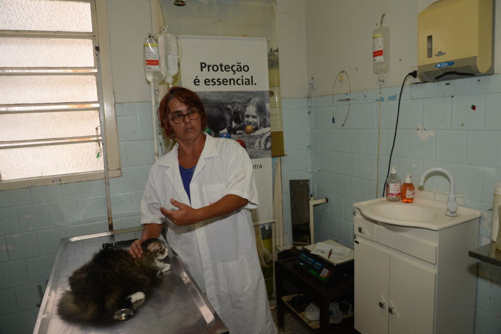 Flávio Neves - 