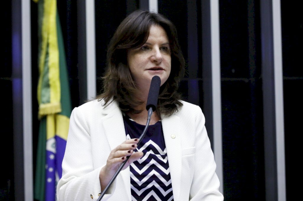 Foto: Arquivo Câmara dos Deputados - Carmen Zanotto (Cidadania-SC)