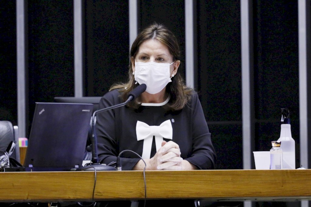 Gabinete Carmen Zanotto    Silviane Mannrich - Lages     Denise Lacerda - Brasília - Foto: Arquivo Câmara dos Deputados