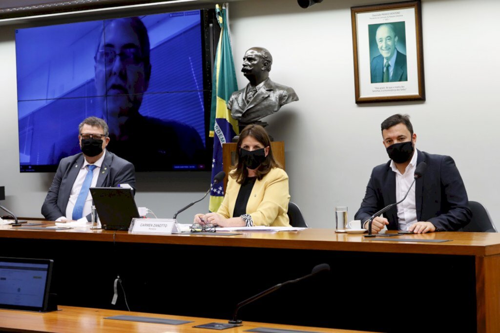 Foto: Gustavo Sales/Câmara do Deputados - Deputada Carmen Zanotto (Cidadania/SC).