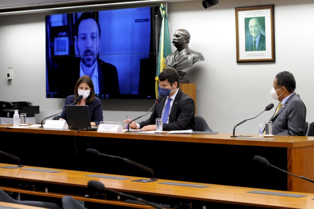 Foto: Gustavo Sales/ Câmara dos Deputados - Deputada Carmen Zanotto.