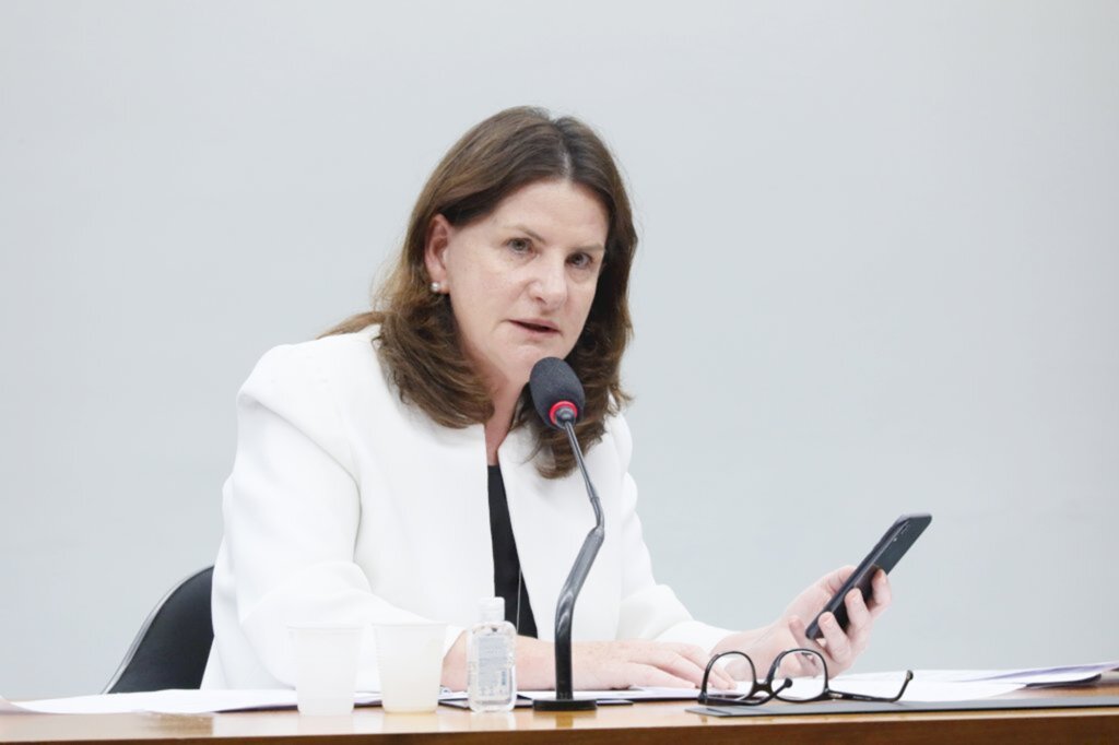 Fotos: Luis Macedo \ Câmara dos Deputados - Deputada Carmen Zanotto (Cidadania/SC)