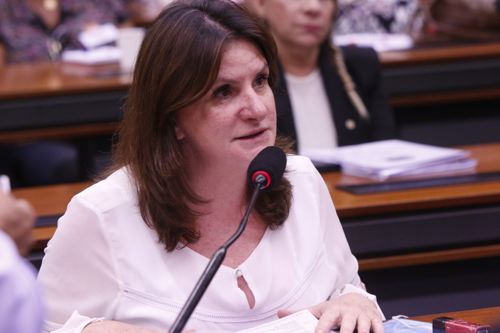 Comissão do Senado aprova projeto de Carmen sobre censo demográfico do autismo