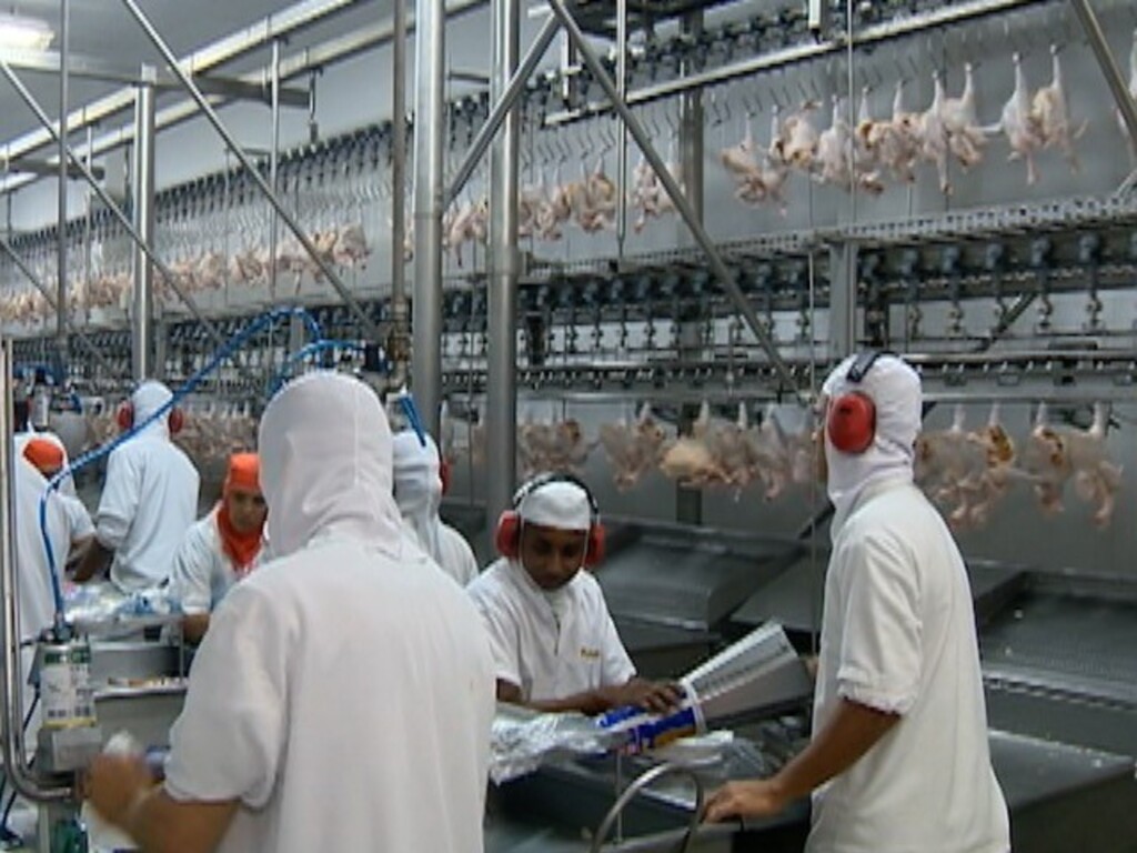  - Rússa é quarto maior mercado da carne brasileira (Foto: Reprodução/TV Fronteira)