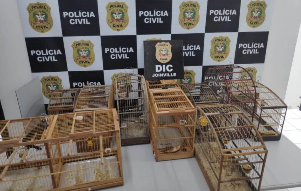 Polícia apreende aves silvestres no Boehmerwald