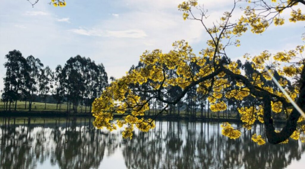  - Primeira colocada do concurso de 2021: Foto de Mariana Wrublevski de Carvalho (Fazenda Percy ? Rio do Pinho)
