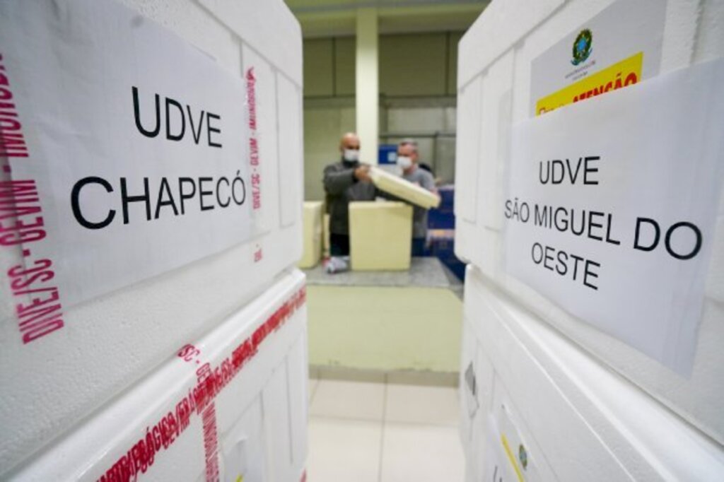 Vacinação em SC: Estado oferece suporte aos municípios para atualizar registros de doses aplicadas