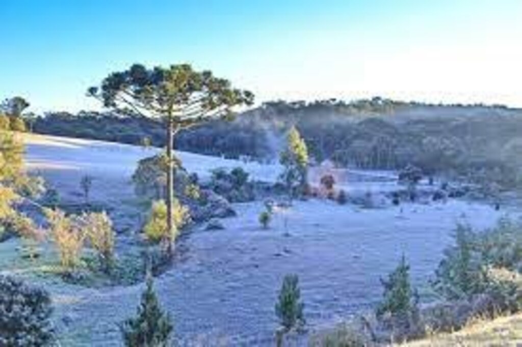 Governo de Santa Catarina mobiliza equipes e reforça orientações de prevenção para onda de frio intenso que atinge o estado nesta semana