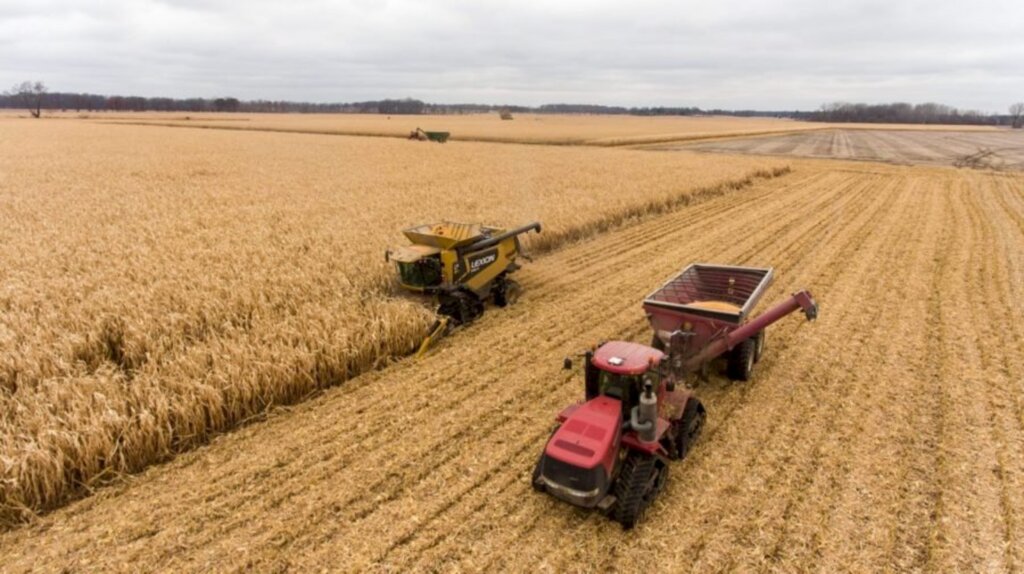Valor da Produção Agropecuária de 2021 deve registrar aumento real de 11,8%