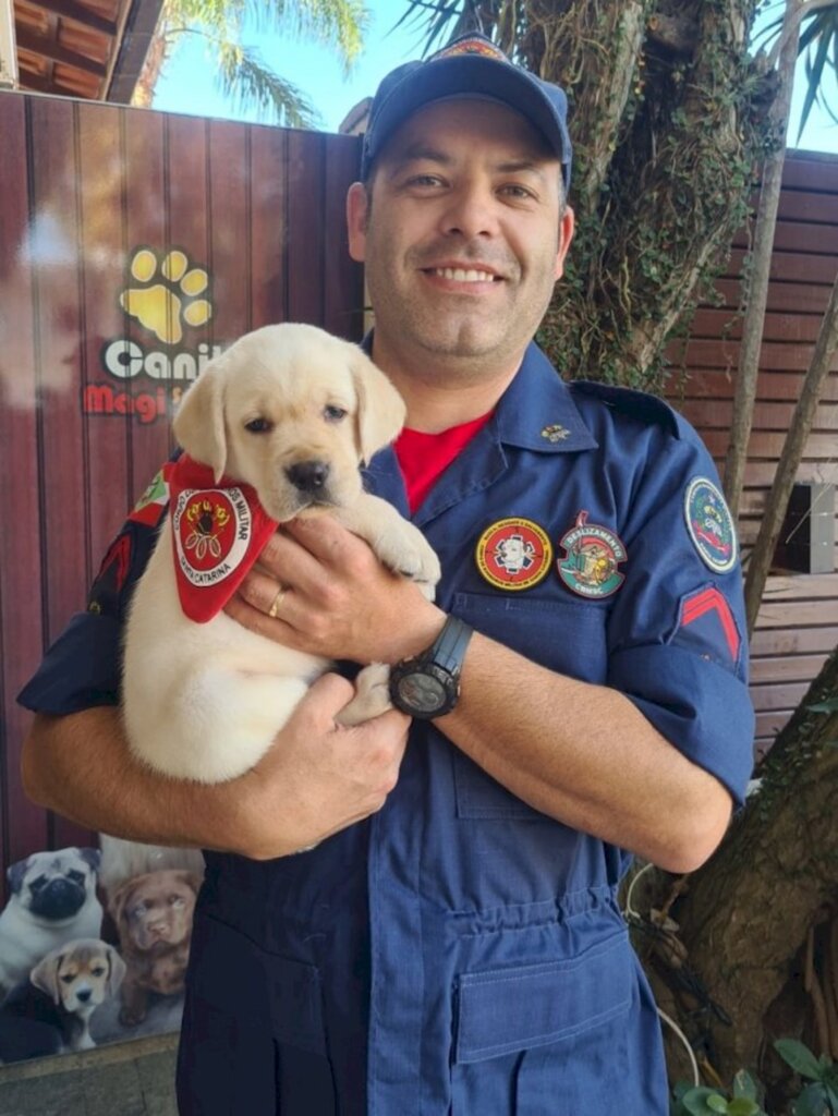 Bombeiros tem duas novas raças de cães e mais um filhote de Labrador