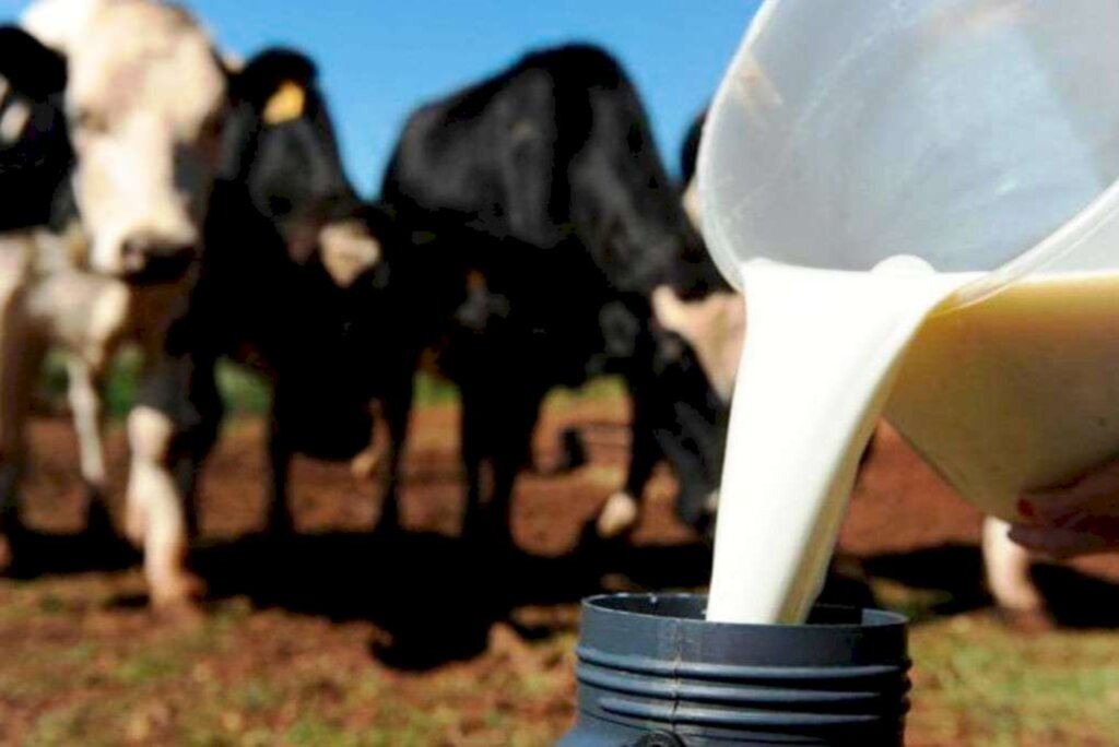 Câmara aprova projeto que cria cota para leite nacional na merenda