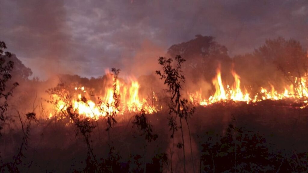 Cerca de 70 mil m² são consumidos por incêndio em Bela Vista do Toldo