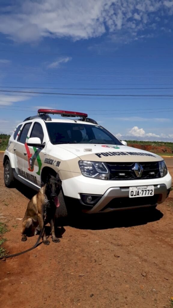 Suspeitos de envolvimento com tráfico de drogas são presos em Irineópolis