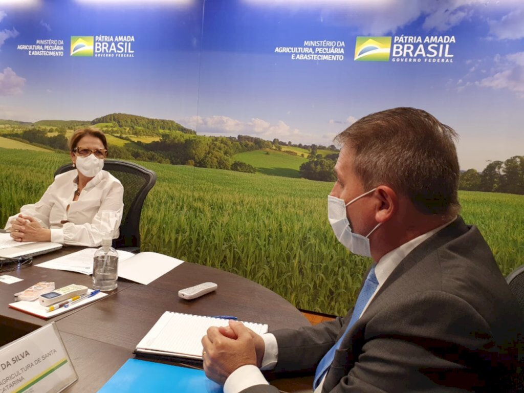 Estado busca apoio do Ministério da Agricultura para aumentar disponibilidade de milho em SC