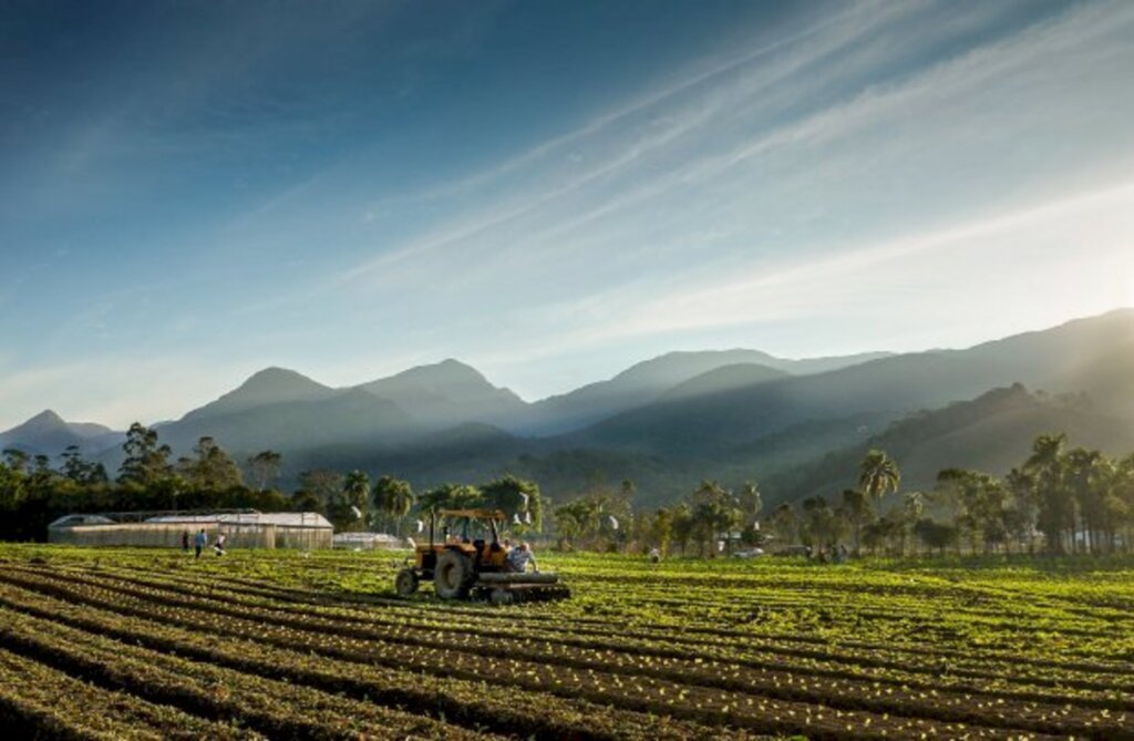 Santa Catarina investirá R$ 57 milhões em novos projetos de apoio à agricultura e pesca