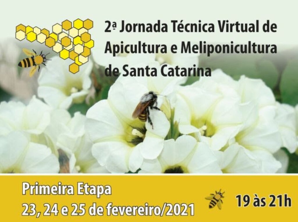 Meliponicultura de SC terá primeira etapa de 23 a 25 de fevereiro