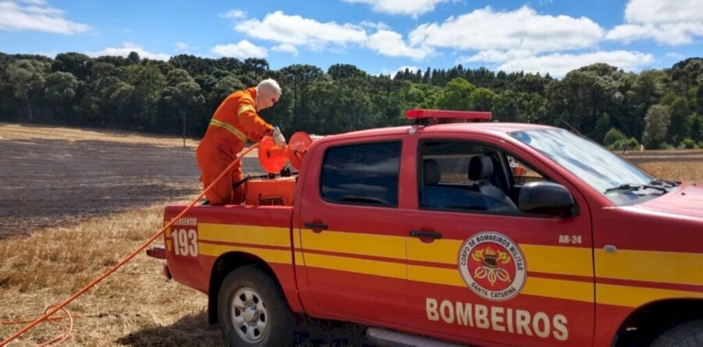 25 mil metros quadrados de plantação de soja são consumidos por incêndio