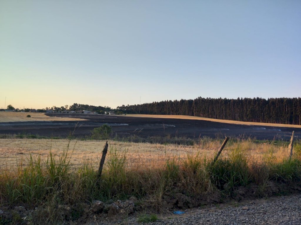 Incêndios em série atingem áreas em Mafra, Papanduva e Monte Castelo