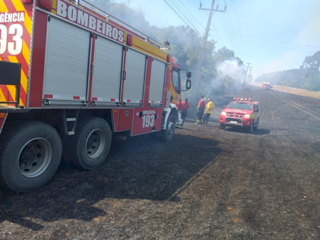 Com tempo seco, oito incêndios em vegetação são registrados em um dia