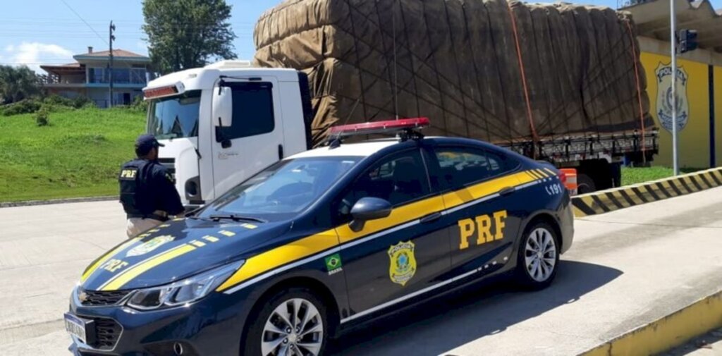 PRF flagra carvão de lenha nativa sem licença ambiental na BR 280
