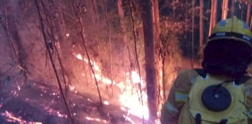 Bombeiros combatem incêndio em área de 150 mil metros quadrados
